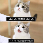 ?입니다
