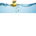 Ducks Shall Unite!