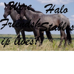 ✨Halo Stables✨