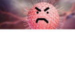 Virus Testing Foundation