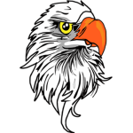 White eagles 화이트 이글스