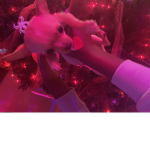 Guess for robux