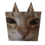 Cowka's Head (use code: cowkaheadbuy2)
