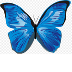 ButterflyFlower Army