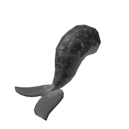 Seal Tail
