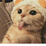 Amigos_owo