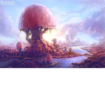 ~Mushroom cult~