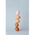 EGG GROUP =D