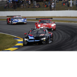 Motorsports fans