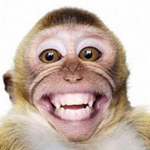 monke epic lol