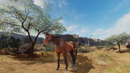 Wild horse Roleplay