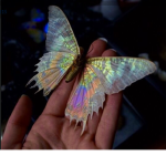 The butter fly sweets