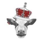 The Cow Imperial