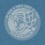 Esquadra 301 – "Jaguares"