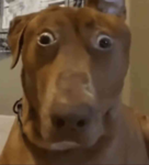 Matixluvr