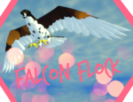 Falcon Flock