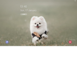 Dog ###### army