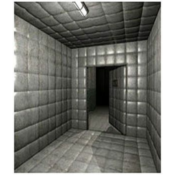 the room