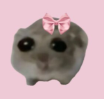 Waitwhatyoucalledmecoolwellamdumb