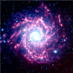 Super Novas ◕‿◕