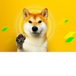 Viper_raiderRoblox sub group