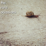 The Rare Occasions fans