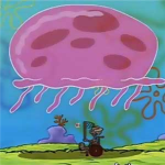 Jungle Jellys