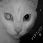 VIRTUED.