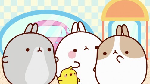 Duck Land
