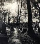 The Church's Graveyαrd