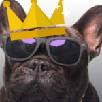 KingDawg Devs