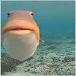 ̴B̴̴E̴̴A̴̴M̴̴E̴̴D̴