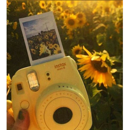 𝘴𝘩𝘦’𝘴