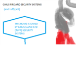 CAIUS,S SECURITY