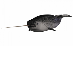 Narwhal Commotion Hangout