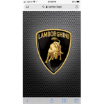 Lambo fan group the best