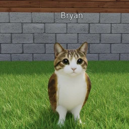 obby fais par meowl icon