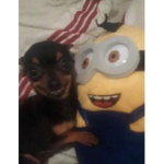 friends ig <3