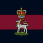 Nijmegen Comραny,