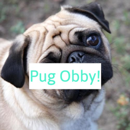 Pug Obby