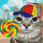 Meowgarita