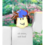 Vecter