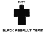 〔 :{ The Black Assault Team }: 〕