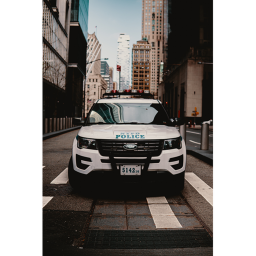 NYPD - Tryout Game