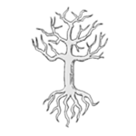 | Whiteoak |