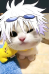 Killua's Kingdom