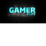 THE COOL GAMERS THE BEST