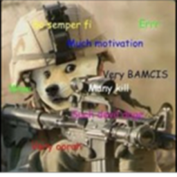 [USM] DOGE Military Camp