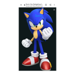 Sonic Fans For Life