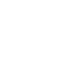 US Robloxian ARMY
